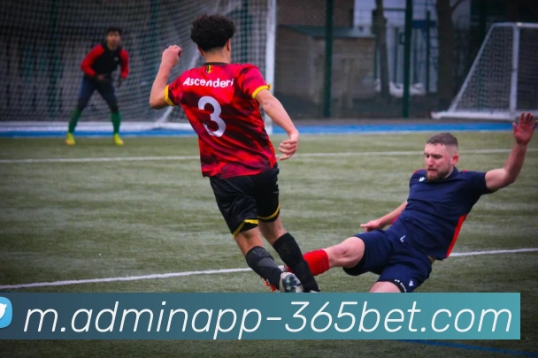 365bet平台生态图